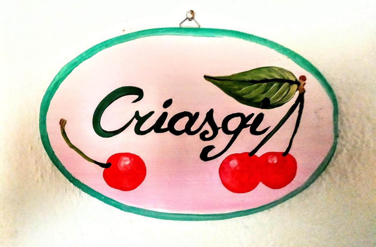 Gallura Experiences Li Criasgi Aggius المظهر الخارجي الصورة